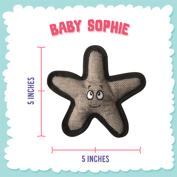 Baby Sophie the Starfish