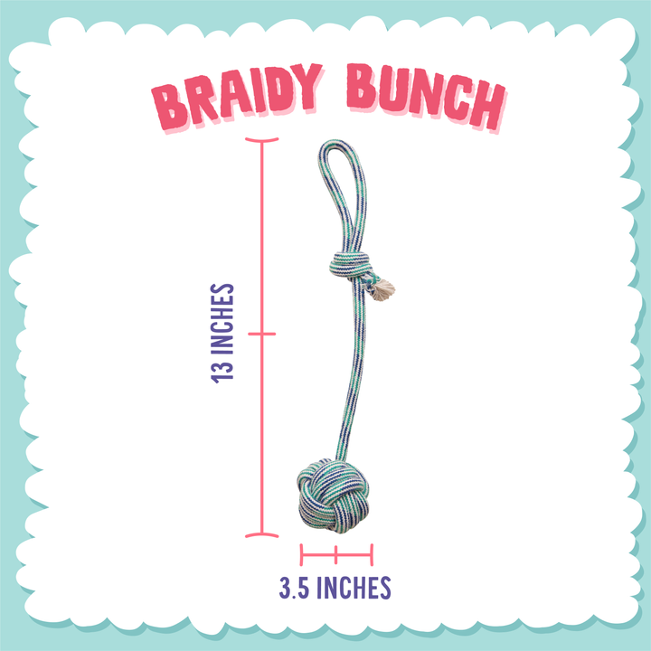 Braidy Bunch