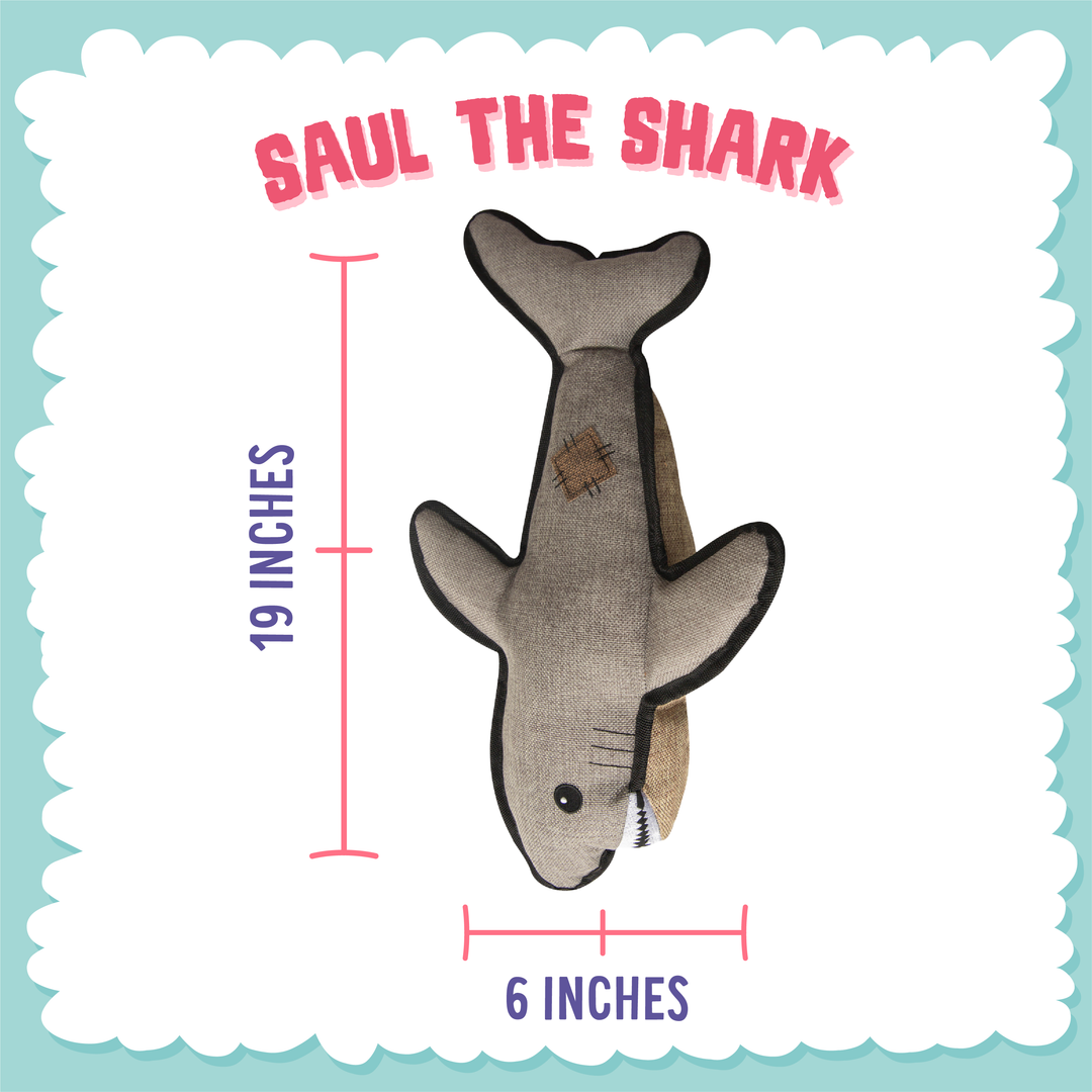 Saul the Shark