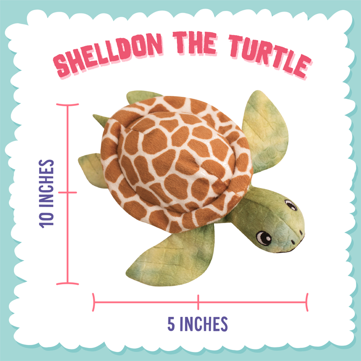 Shelldon the Turtle