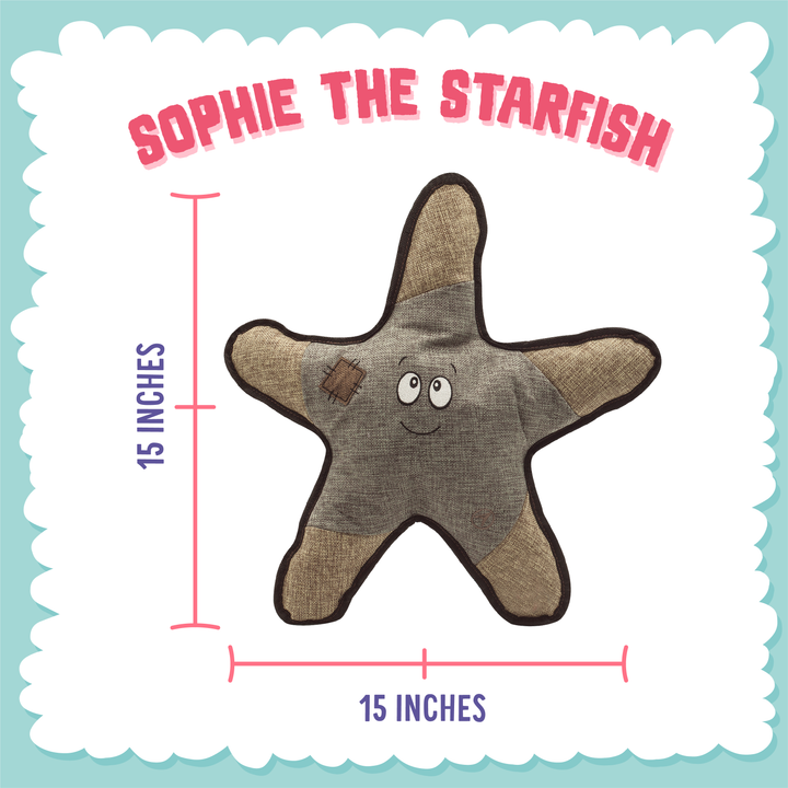 Sophie the Starfish