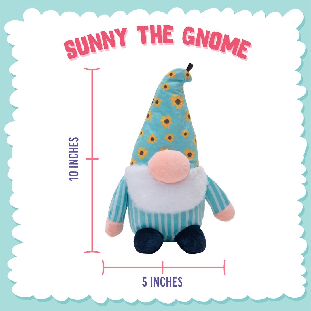 Sunny the Gnome
