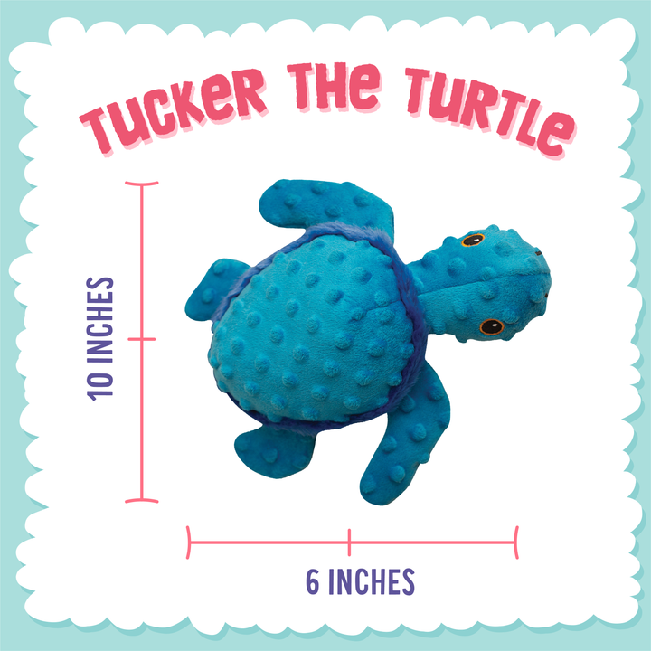 Tucker the Turtle